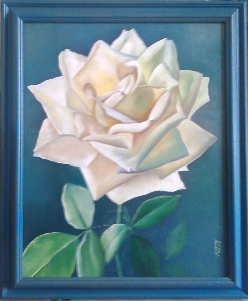 Rosa bianca su sfondo blu 40x50