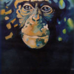 scimpanzé-1