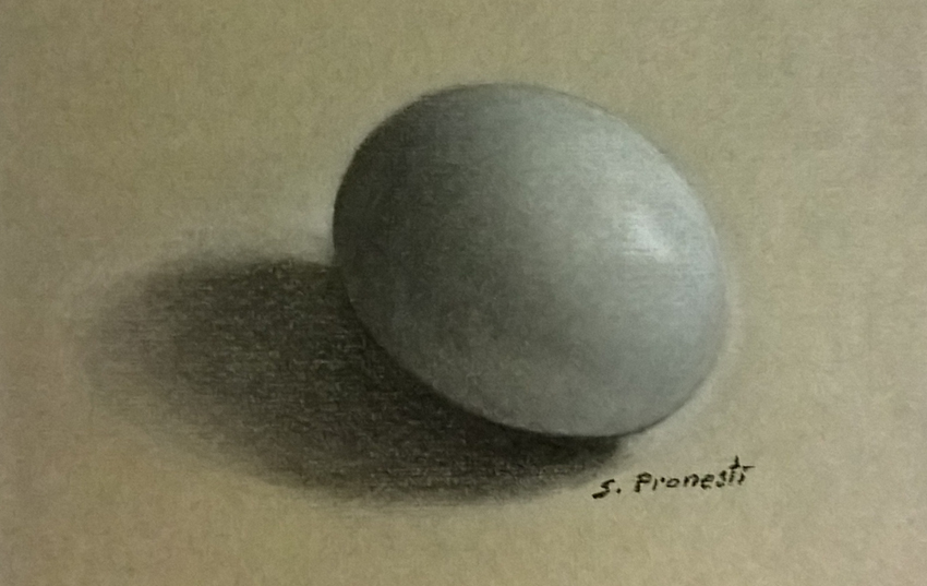 uovo su sfondo grigio - Carboncini carbotello