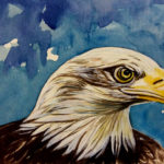 Aquila reale - acquerello