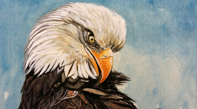 Aquila reale - acquerello