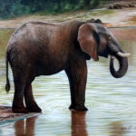 Elefante olio su tavola cm. 69 x 62