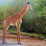 giraffa olio su tavola 56x71 cm