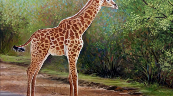 giraffa olio su tavola 56x71 cm